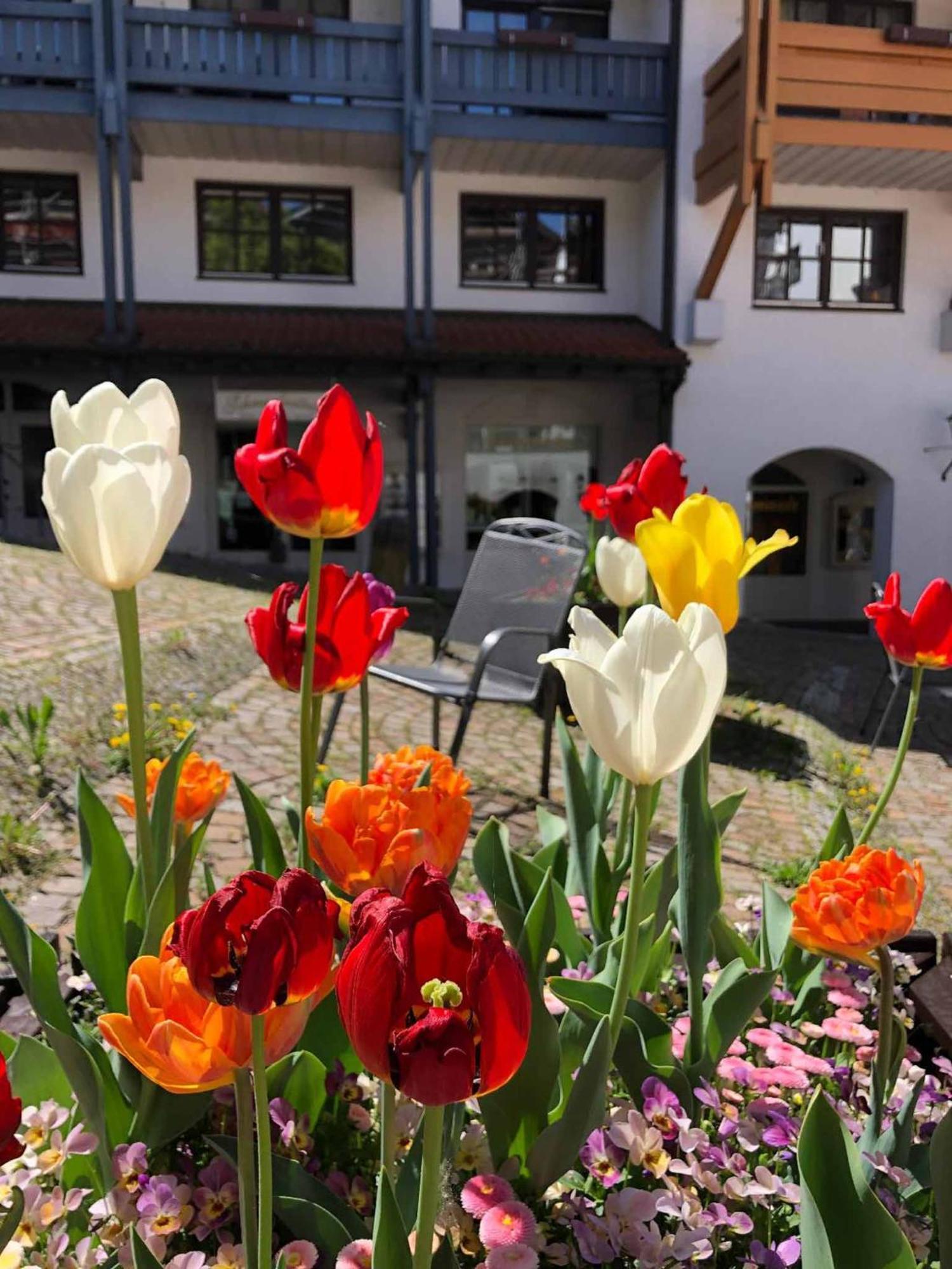 Appartement Am Brunnenplatzl Mit Bademantelzugang Bad Griesbach  Exterior foto